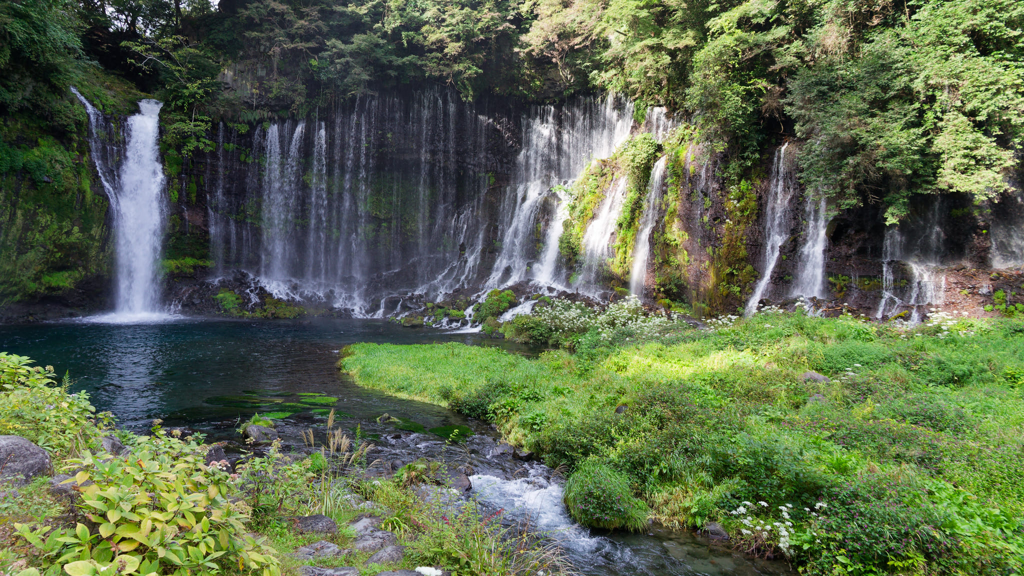 03-Mt Fuji (13) Chutes d'eau de Shiraito.jpg